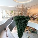 동탄나무로 이미지