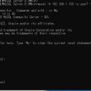 1234피시 이미지