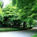 사육신묘 산책로 이미지