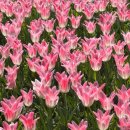 영광공업고등학교 | 25년 1회차 화공기사 실기 2트 합격 후기 (+휘경동, 경남공고 작업형 후기)