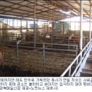 한우농가 이미지