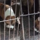 장형농장 이미지