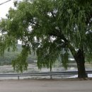 할매손국시 이미지