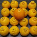 영서농장 이미지