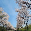 진원면주민자치센터 이미지