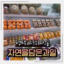 씨티골드행정사사무소 | 평택과일가게, 평택고덕과일 어디서? 자연을담은과일 고덕점
