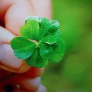 미광목장 이미지