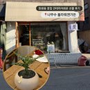 잠원동 꽃집 | 인테리어화분 선물 후기 나무수 플라워앤가든