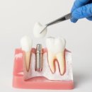 치과다운 치과의원 이미지