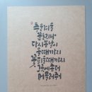 디자인 푸름