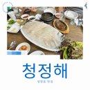 한라수산식당 | 양평읍맛집 시내 방어회 광어회 우럭회 청정해 회식장소 후기