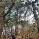 흰돌산수양관 | 화성 건달산 등산 후기(흰돌산 수양관-쉼터-정산-원점회귀)