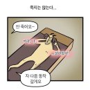 일리움필라테스