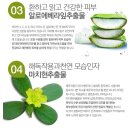 디톨로지(Dtology) | 디톨로지 에리떼마 진정솔루션