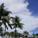 퍼시픽호텔 이미지