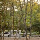 계방산 오토캠핑장 이미지