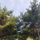 평촌중앙공원 입구 이미지