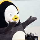 예니디자인 이미지