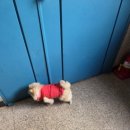 꼬마네식당 이미지