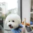피엔피PC 이미지