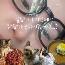 일상, 맛집만 다니는 골린이 밟으실 수..수수Su Super NO밟…