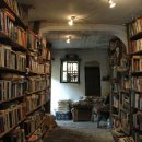 희망의 꽃밭에서 이미지