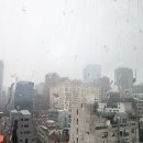 종필농장 이미지