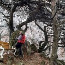 봉양마을회관 이미지