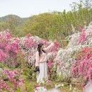 덕수농원