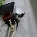 공항파출소 이미지