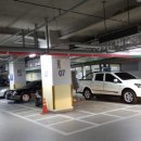 진성행정사사무소 이미지