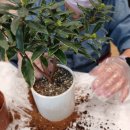 강남수요양병원 이미지