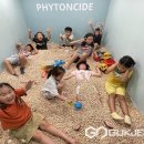 이원초교 병설유치원 이미지