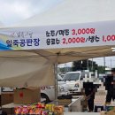 청미천 | 2025년 안성 일죽 청미 한마당 축제 다녀온 후기