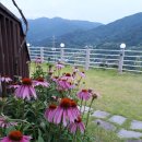 화원펜션 이미지