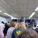여의도 한강공원 절망 후기