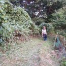 호범농장 이미지