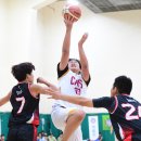 백양고등학교 이미지