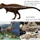 고르고사우루스(Gorgosaurus libratus) 화석 이미지