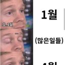 가행나무 | 2026. 4월 첫째주 일상(완벽 꽃꽂이 체험)