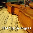 (주)전원인삼당제약 | [군위] 사유원 봄 매화축제 동행 산책 프로그램 방문 후기(2)