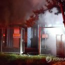 종천(목포) 이미지