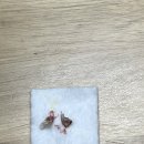 페츠온동물병원 이미지