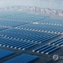 김용수 농장 이미지