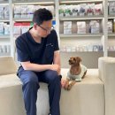 참좋은동물병원(출장진료전문 동물병원) | 광주 우산동 동물병원 노령견 진료, 안심하고 찾는 동물병원 &lt;10년차 수의사&gt;