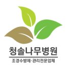 청솔임업