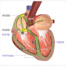 이준철 맥 네이버블로그