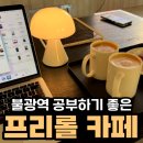 Freerole(프리롤)