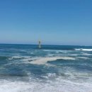 성경공인중개사사무소 이미지