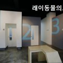 강남동물의료센터 | 강남동물병원 래이동물의료센터 강남 최고의 동물병원